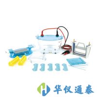 北京六一 DYCZ-24K、DYCZ-24KS型双板垂直电泳仪