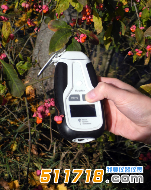 1573182208767957.png 捷克PSI FluorPen FP110手持式叶绿素荧光仪3.png