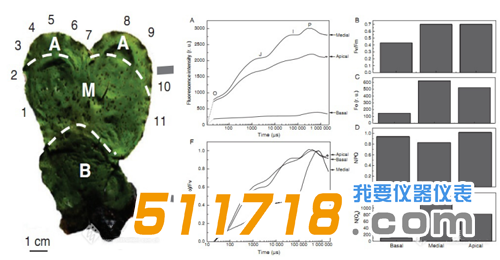 1573182278632549.png 3.png